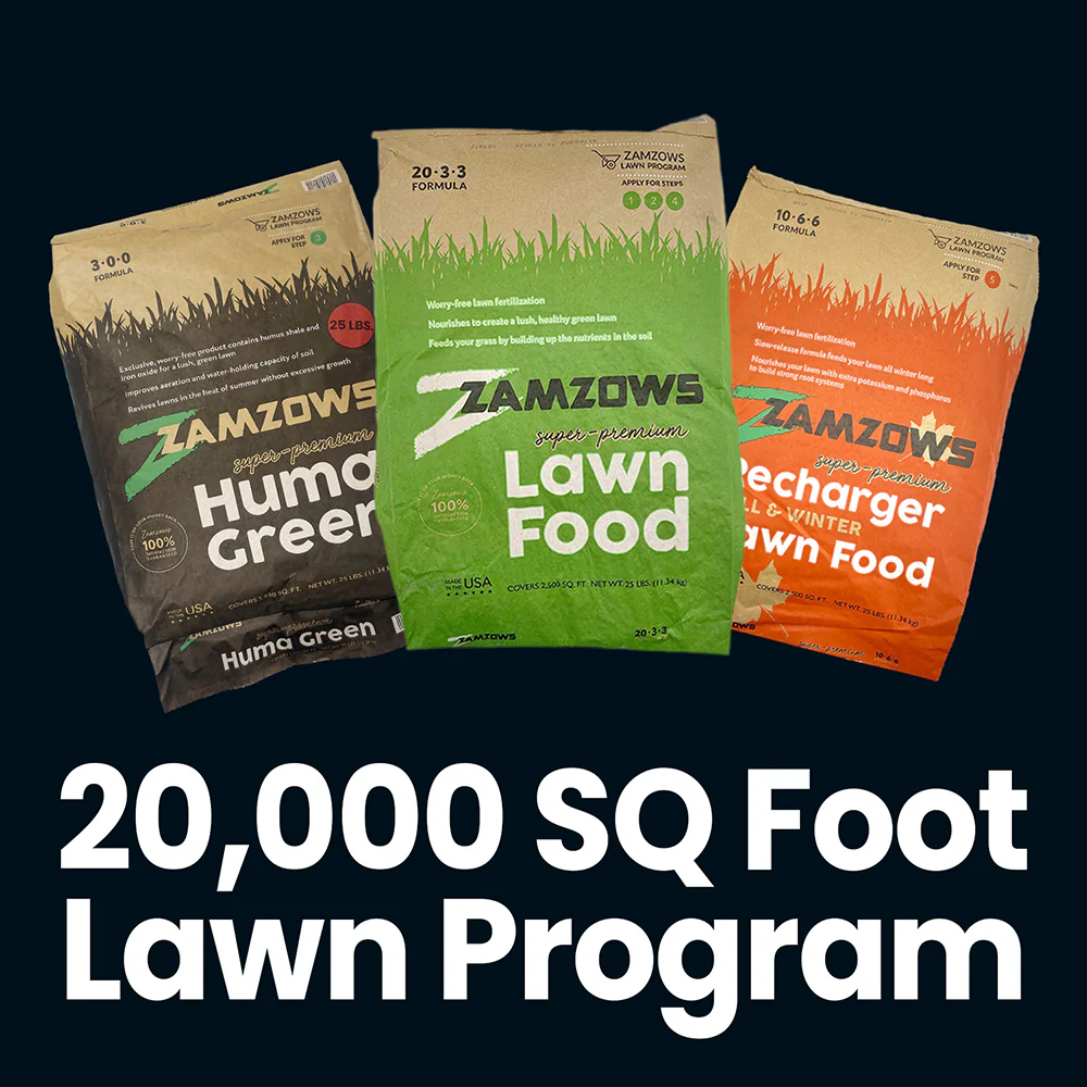 Lawn